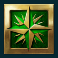 dead-mans-gold-slot-star-symbol