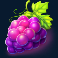 fruit-combinator-slot-grapes-symbol