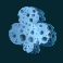 shark-wash-slot-club-symbol
