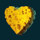 shark-wash-slot-heart-symbol