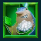 shark-wash-slot-washer-shark-2-symbol
