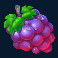 sticky-bees-slot-grapes-symbol