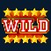 touchdown-madness-slot-wild-symbol