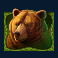 wild-bison-charge-slot-bear-symbol