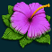 wild-swarm-slot-purple-flower-symbol