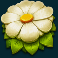 wild-swarm-slot-white-flower-symbol