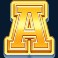 basketball-king-hold-and-win-slot-ace-symbol