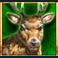 big-bad-bison-megaways-slot-elk-symbol