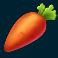country-farming-slot-carrot-symbol