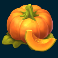 country-farming-slot-pumpkin-symbol