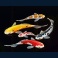floating-dragon-dragon-boat-festival-slot-fish-symbol