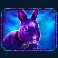 madame-mystique-megaways-slot-rabbit-symbol