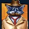 rascal-riches-slot-wild-symbol