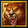 10000-bc-doublemax-slot-bear-symbol