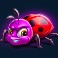 3-buzzing-wilds-ladybird-symbol
