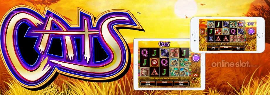 cats-mobile-slot