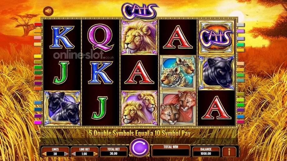 cats-slot-base-game