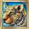 cats-slot-leopard-symbol