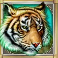 cats-slot-tiger-symbol