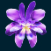coba-reborn-slot-hydra-orchid-symbol