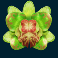 coba-reborn-slot-rebirth-orchid-symbol