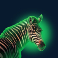 crocodile-blitz-xtreme-slot-zebra-symbol