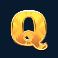 double-jungle-slot-q-symbol