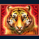 double-jungle-slot-tiger-symbol