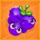 fruity-megaways-slot-grapes-symbol