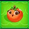 fruity-megaways-slot-orange-symbol