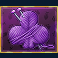 here-kitty-kitty-slot-club-symbol