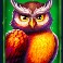 power-of-merlin-megaways-slot-owl-symbol