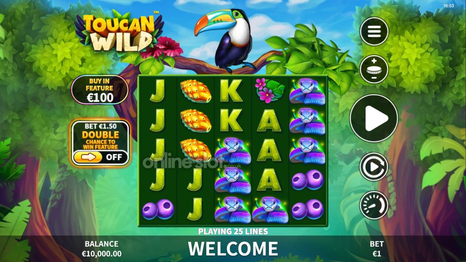 toucan-wild-slot-base-game