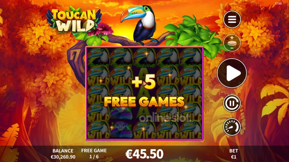 toucan-wild-slot-free-spins-feature