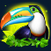 toucan-wild-slot-scatter-symbol