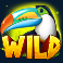 toucan-wild-slot-special-wild-symbol