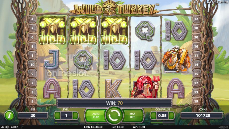 wild-turkey-slot-base-game