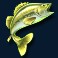 amazing-catch-slot-green-fish-symbol