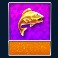 amazing-catch-slot-money-symbol