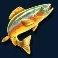 amazing-catch-slot-orange-fish-symbol