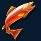 amazing-catch-slot-red-fish-symbol