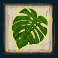 drop-em-slot-leaf-symbol