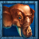 masks-of-fortune-megaways-slot-elephant-symbol