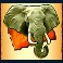 the-wild-life-extreme-slot-elephant-symbol