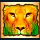 the-wild-life-extreme-slot-lion-symbol