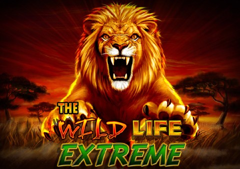 the-wild-life-extreme-slot-logo