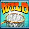 big-bass-hold-and-spinner-megaways-slot-fishing-net-wild-symbol
