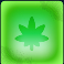 dj-psycho-slot-cannabis-light-symbol