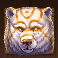 druids-magic-slot-bear-symbol