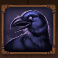druids-magic-slot-raven-symbol